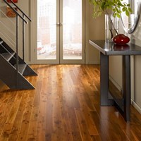 Ark French Collection Wood Flooring at Discount Prices